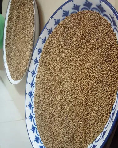 مرحلة التنظيف والتجفيف