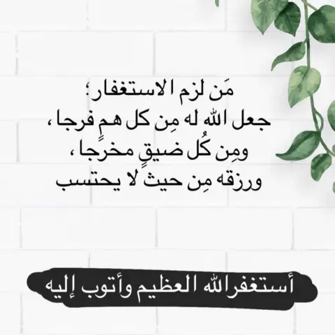 46b869a71338e0874c36c38e884fe16c
