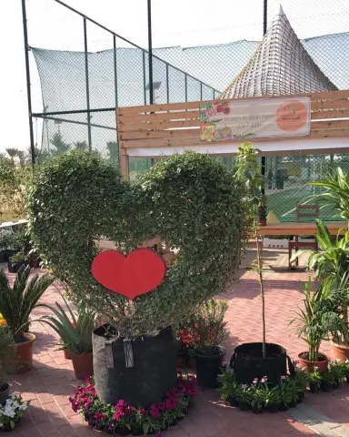 لا تنسوون موعدنا اليوم بالسوق المحلي بمنتزه ارامكو البيئي ٣ الدخول للعامه مجانا من ٢-٨ مساء #ايفناتات #الدمام #جديد_الشرقية #السوق_المحلي #سوق_المزارعين #الخبر #ارامكو