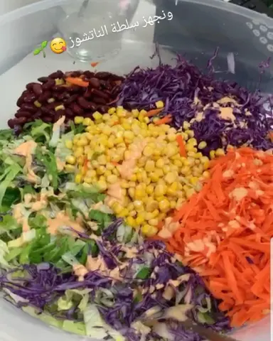 سلطه ياسلطه #وجبة_غداء_عمل #اطباق_لذيذه #لانش_لانش تواصلو معانا وخلو الباقي علينا #غداء_عمل #غداء_تايم #وجبات_موظفين #وجبات_١٥_ثانية #وجبات_15_ثانية #وجبات_غداء#لانش_بوكس #لانش_بوكس_مميز #وجبات_يومية #أطباق_رئيسية