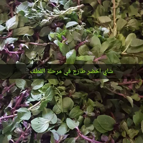 #بهارات#ابازير#بهارات_منظفة_ومغسوله#طبخ #برياني#كبسة#ايدام#نكهة#بدون_حلبة#أجبان #خلطات_زيتون#عبجات_باردة_وحارة#عمبات_مشكلة #بصل_مقلي_مقرمش#صلصات_سلطة. #صلصات_تتبيل #شاي#أعشاب#زيتون#صحة#كركم#زنجبيل #مورينجا#بقسماط#مشوي#صحي#طبيعي