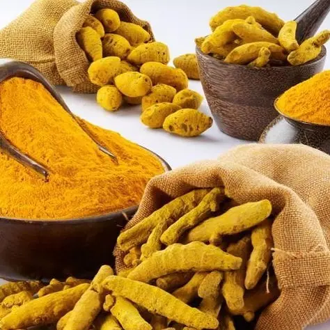 الكركم في الطب النبوي عرف الكرم باسم الورس أي نبات أصفر لدى العرب، حيث قال رسول الله صلى الله عليه وسلم: (مِنْ ذَاتِ الْجِنْبِ وَرْساً وَقُسْطاً وَزَيْتاً، يُلَدُّ بِهِ)[ضعيف ابن ماجه]، كما ورد في كتب أطباء العرب القدامى، والتي تشير إلى فضل الكركم كعلاج لكثير من الأمراض أكثر من أن تحصى، "وكان رسول الله قد أمر النساء باستعمال الكرم حيث إنّه قال: (قد أمرنا النساءَ بوَرسٍ وأبَرٍ فأما الوَرْسُ فأتاهن من اليمنِ وأما الأَبَرُ فأخذ من ناسٍ من أهلِ الذمةِ مما عليهم من الجزيةِ)[مجمع الزوائد] كما كانت المرأة النفساء في عهد الرسول تدهن وجهها بمعجون الكركم لإزالة الكلف". #بهارات_الجادل #بهارات #بهار #بهارات_مدينيه #بهارات_طبيعيه #بهارات_منوعه #توابل #توابل_حاره #توابل_بارده #توابل_منوعه #كركم #كركم_شرب #كركم_طبخ #طباخات #اسر_منتجه #المدينه_المنوره #دعم