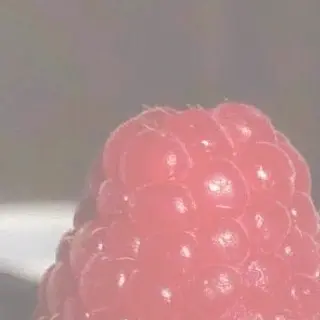 2143640013726889939_