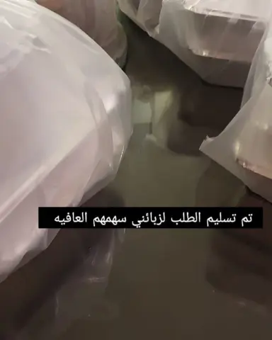2303918459769543239_