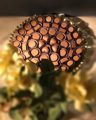 2313483593833634079_