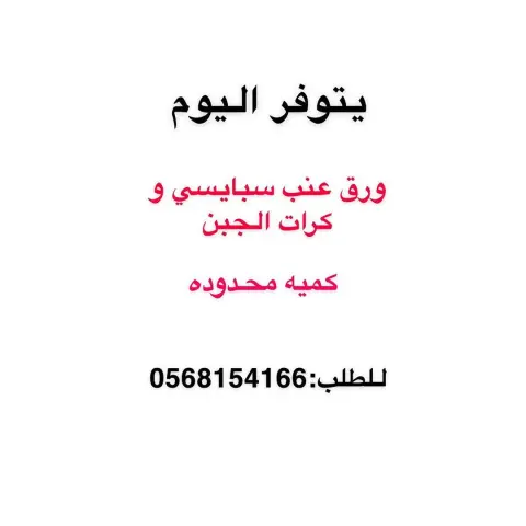 متوفر ورق عنب سبايسي و بارد و كرات الجبن