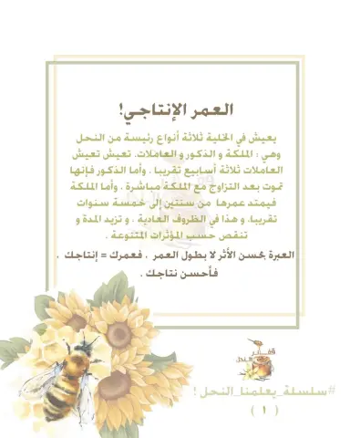 #سلسلة_يعلمنا_النحل ، #قفائر_النحل