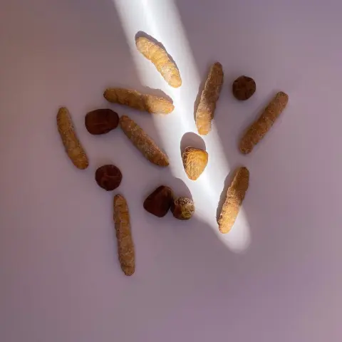 ✨