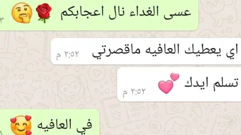 رايي صاحبه طلبيه كبسه لحم نعيمي بالفرن