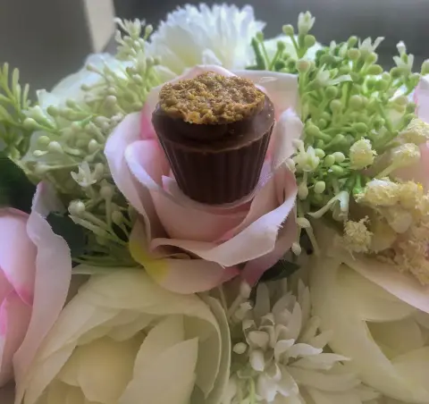 تشوكليت عائشه..بيستاشيو وتشوكليت ..