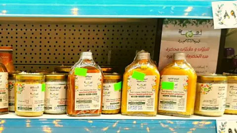 نعمة لاكتيك niemalactic@