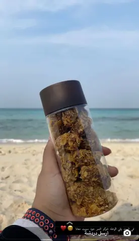 شوكو التمر