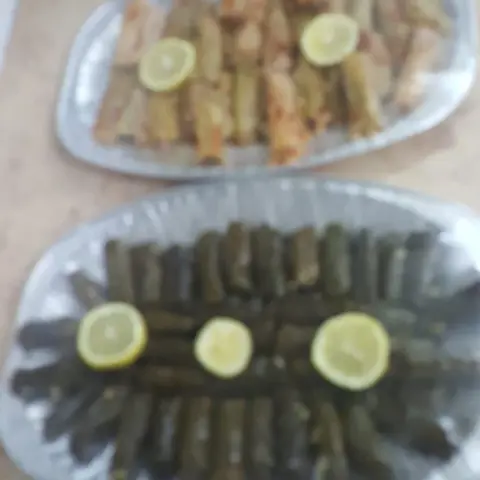 ورق عنب بالعافيه على صاحبته. #جده