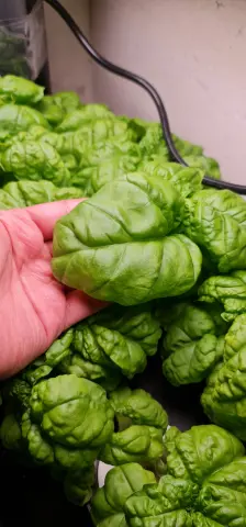 منتجاتنا من طازجه وطبيعيه